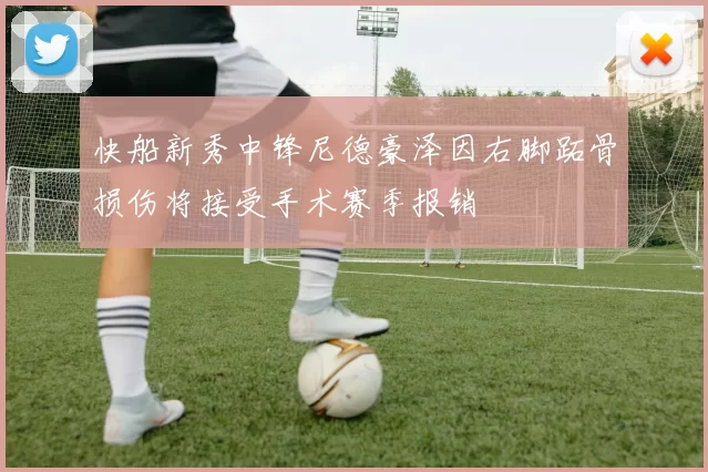 快船新秀中锋尼德豪泽因右脚跖骨损伤将接受手术赛季报销